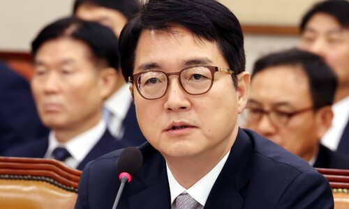 김건희 불기소 비판 의식했나...심우정 “항고 땐 철저 지휘”