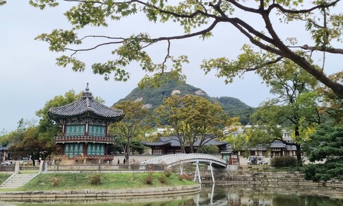 가을 한가운데 ‘초록 단풍’…폭염 시달린 나무가 쉬질 못해서