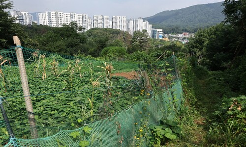 서초 서리풀지구 그린벨트 풀린다…수도권에 5만가구 공급