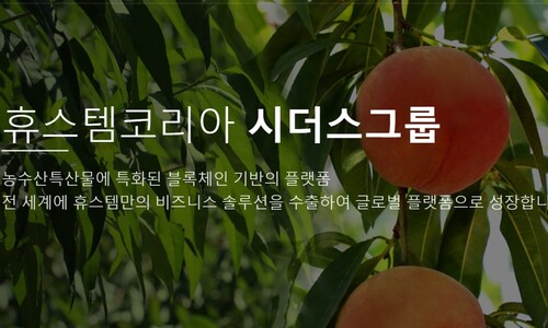 ‘1조원대 다단계 사기’ 휴스템코리아 회장 등 70명 검찰 송치