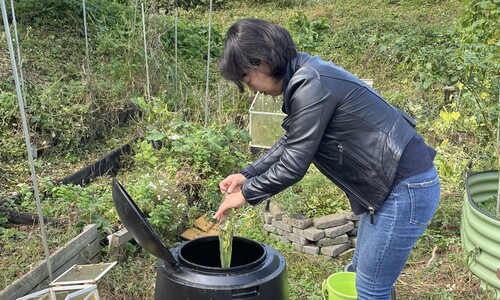 손님 덕에 덩굴 치고 쿠카멜론 풍미 느끼고