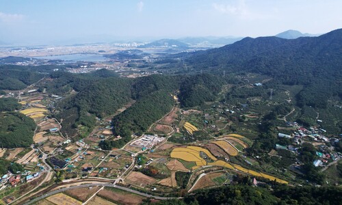 [단독] 명태균, 창원산단 부지 선정 처음부터 끝까지 개입했다