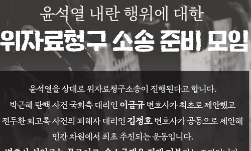 대한민국 주인이 내란수괴 윤석열에게 정신적 위자료를 청구한다