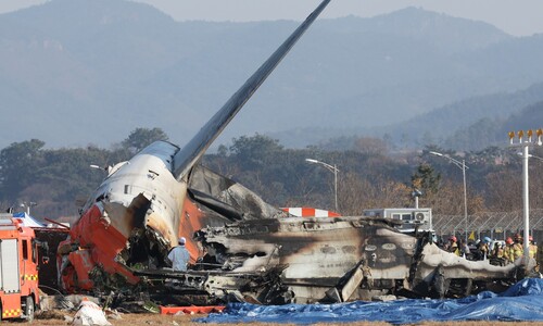 제주항공 무안공항 참사, 원인은 무엇인가 [12월30일 뉴스뷰리핑]