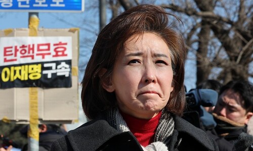 윤석열 궤변 그대로 전한 나경원 “의회 독재로 국정 마비됐다고…”