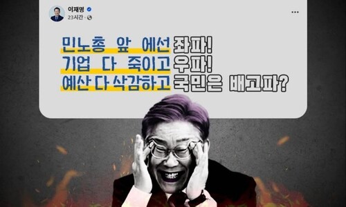 “진짜 수준 어쩌냐”...국힘 지지자도 탄식한 ‘이재명 악당 사진’