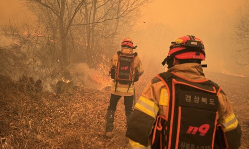 [속보] 산림청, 산불재난 국가위기경보 ‘심각’ 발령