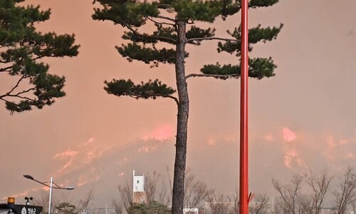 [속보] 청송 60대 여성 불에 타 숨진 채 발견…경찰 “산불 사망 추정”