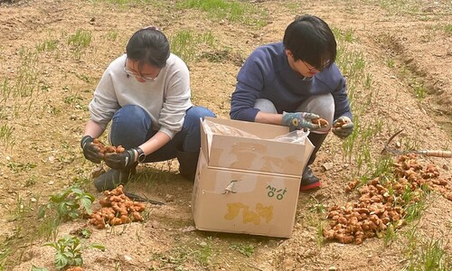빌라촌에 숨은 보석 ‘호밀밭’의 농부들