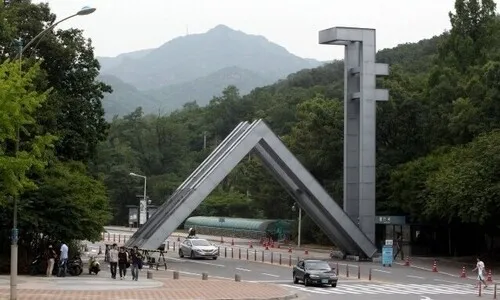“시진핑 자료실 폐쇄하라” 서울대 도서관서 난동 부린 40대 체포