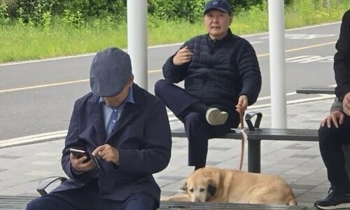 윤석열 한강 ‘개 산책’ 목격자 “속 터져…나다니는 꼴 보니”