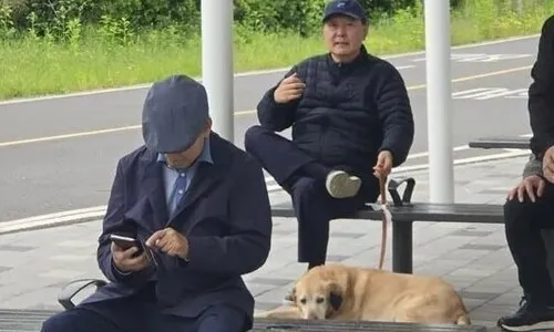 윤석열 한강 ‘개 산책’ 목격자 “속 터져…나다니는 꼴 보니”