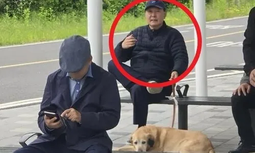 한강 ‘개 산책’ 윤석열…“재수감 전 마지막 소풍, 즐기셔라”