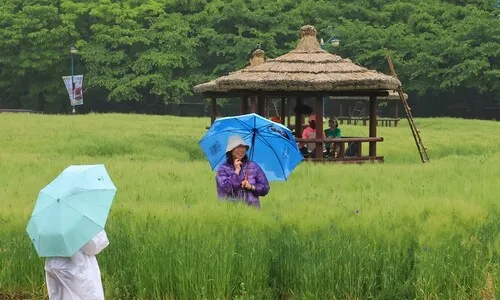 성큼 다가온 여름…낮 최고 30도, 오후엔 곳곳 소나기