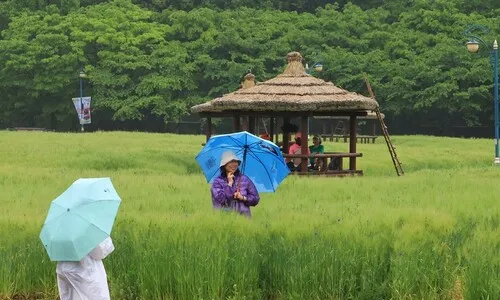 전국 대체로 흐리고 곳곳 비…서쪽 낮 기온 25도 이상