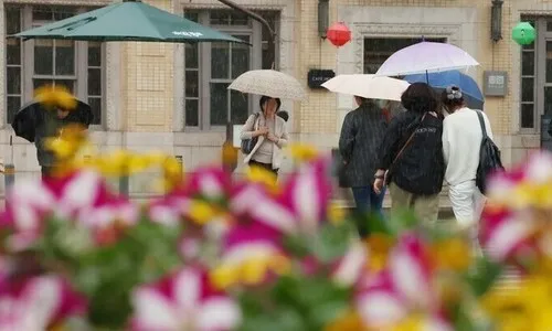 전국 흐리고 곳곳 약한 비…선선한 주말