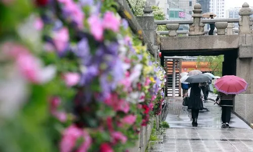 대선 하루 전 전국 흐리고 비…낮 최고 25도 ‘더위 주춤’