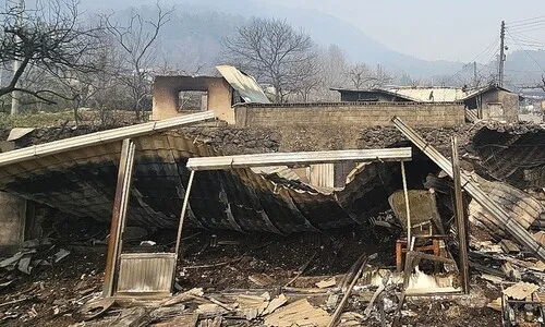 경남 산불 원인은 예취기서 튄 불씨…과실 70대 농장주 송치
