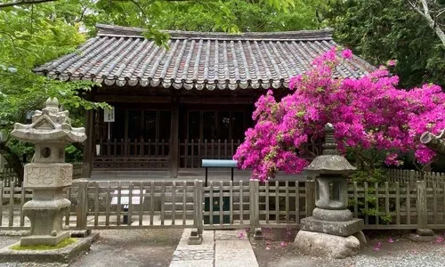 조선왕실 건물 통째 뜯어가 일본 ‘기도의 집’으로…관월당이 돌아왔다