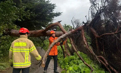 충남 서천 시간당 86㎜ ‘극한호우’…대전·경기 화성 등 호우경보