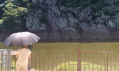 세계유산 암각화 ‘녹조라떼’에 보름째 묻혔는데 대책 없다니
