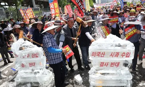쌀·소고기 대신 사과?…미국 농산물 비관세 장벽 낮추나