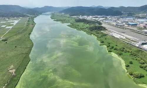 <font color="#FF4000">[단독]</font> 4대강 사업 뒤 녹조 발생, 74%가 낙동강에서