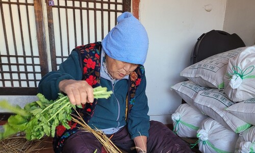 여든 할머니, 예순 아들 걱정 그만하슈