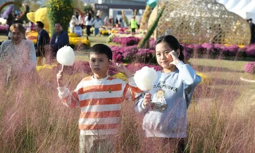 “망한 거 아니냐” 자조는 옛말…강진군 ‘반값여행’ 완판엔 비결이 있다