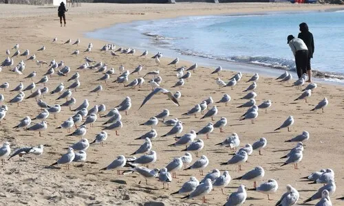 이번 주말까진 따뜻…다음주엔 비·눈 뒤 바람불고 쌀쌀