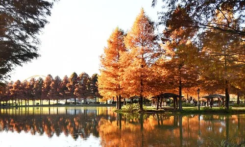 23일 낮 최고 18도 완연한 가을…일교차 15도, 건강 조심