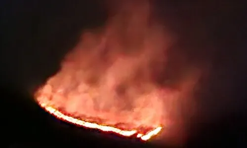 ‘건조특보’ 강원 양양 산불...인근 주민 긴급 대피 명령