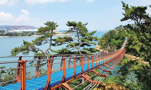 바다를 달리다 보면…어느새 숲이 되는 길 바다를 달리다 보면…어느새 숲이 되는 길