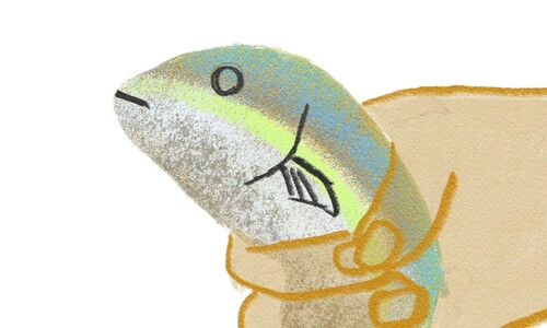 방어 맨손잡기 체험, 사람들은 웃는데 방어 표정은 모르겠다