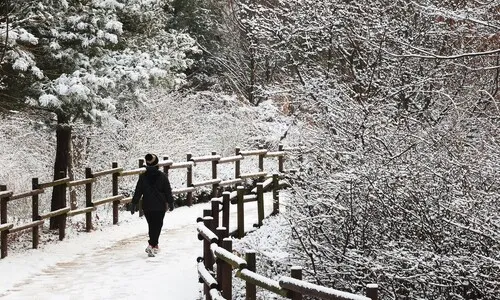 내일 서울 체감 ‘영하 20도’ 최강 한파…바람도 쌩쌩