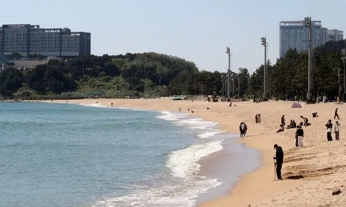 일요일도 맑지만 ‘일교차 최대 20도’…대기 건조해 산불 주의