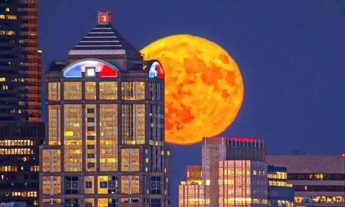 달빛이 적신 시애틀의 여름밤…올해의 천체사진 후보들