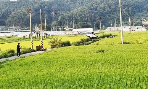 일요일 전국 흐리거나 비…남부지방, 돌풍·번개 동반 최대 200mm