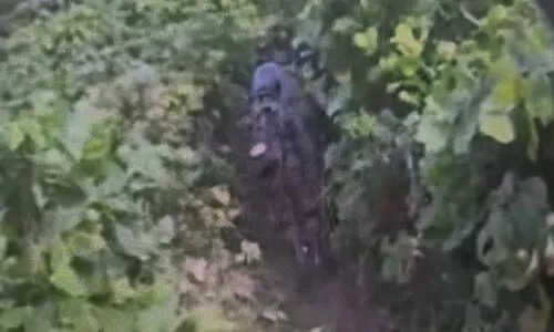 지뢰 사고 6일 만에 DMZ 현장조사…폭발 지점엔 도달 못 해