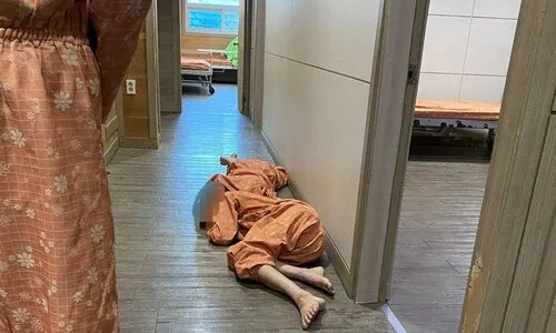 <font color="#FF4000">[단독] </font>“37도에 테라스 1시간 방치”…반구대병원 폐원 직전까지 학대 정황