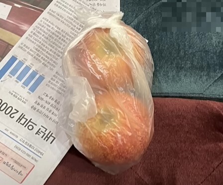 비닐봉지에 ‘사과 두 알’ 회사 설 선물…누리꾼들 “나도 울었다”