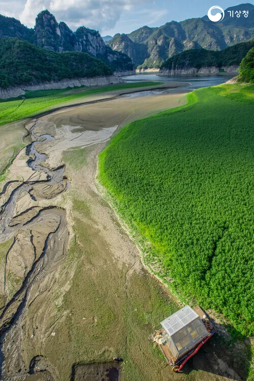 “Siege of the Goosefoot” by Ryu Mi-gyeong won a bronze prize at the 40th weather and climate photography competition organized by the Korea Meteorological Administration. (courtesy of the KMA)