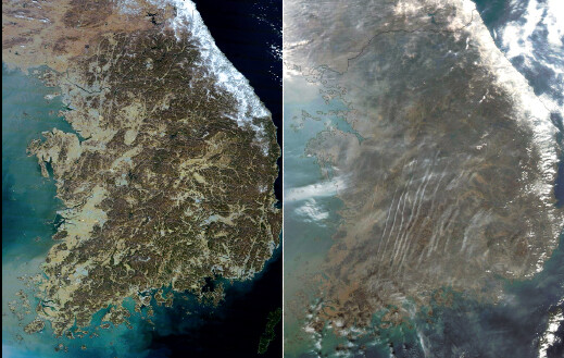 미항공우주국(NASA)이 미세·초미세먼지 주의보 예비단계가 발령된 2월23일과 먼지가 걷힌 3월7일 한반도 상공을 촬영한 위성사진의 모습.그린피스 한국사무소 제공