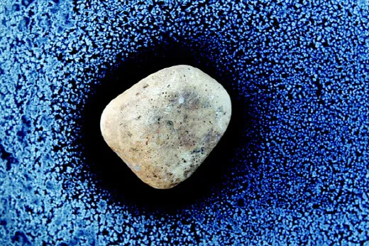 [Photo Essay] Warmth of a pebble