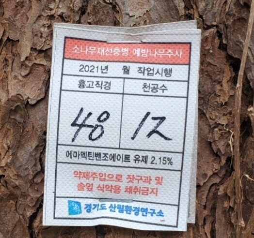 ‘정말 안전할까?’ 나무주사(농약)가 주입된 소나무에 ‘잣구과 및 솔잎 식약용 채취 금지’라는 문구가 적힌 표찰이 붙어 있다. 안실련 제공