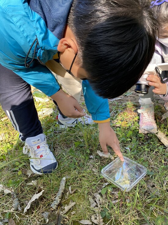 ‘따오기’팀 박태경 학생이 수서곤충을 관찰하고 있다.