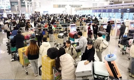 긴급여권 최근 5년간 16만명 발행…구청까지 굳이 가야 하나요?