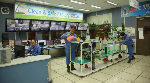  the number of workers watering the plants and feeding the fish saw a large increase. (provided by POSCO)