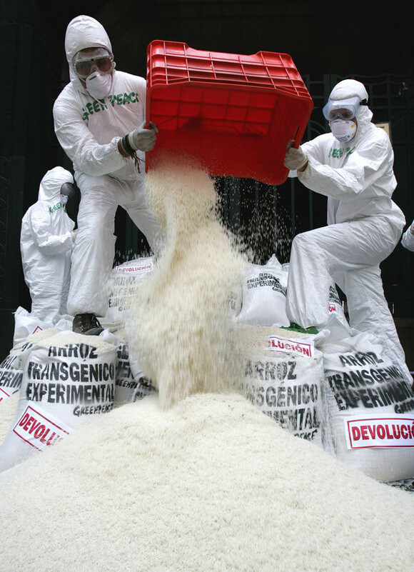 Arsenic scare leads Korea to stop bidding on American rice