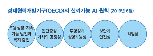 경제협력개발기구(OECD)의 신뢰가능 AI 원칙 (2019년 6월)